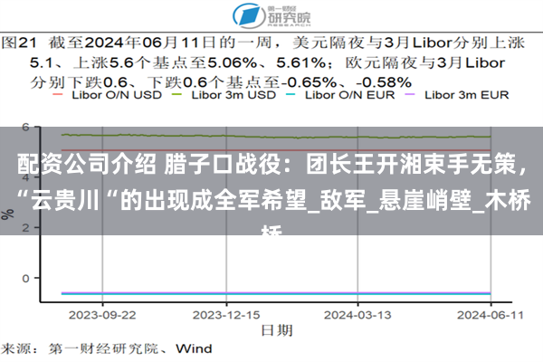 配资公司介绍 腊子口战役：团长王开湘束手无策，“云贵川“的出现成全军希望_敌军_悬崖峭壁_木桥
