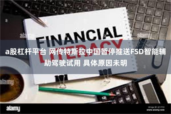 a股杠杆平台 网传特斯拉中国暂停推送FSD智能辅助驾驶试用 具体原因未明