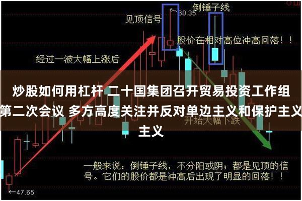 炒股如何用杠杆 二十国集团召开贸易投资工作组第二次会议 多方高度关注并反对单边主义和保护主义