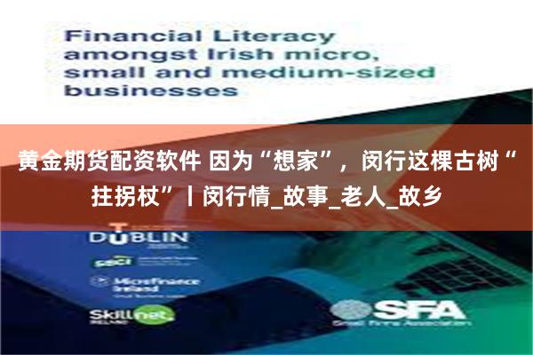 黄金期货配资软件 因为“想家”，闵行这棵古树“拄拐杖”丨闵行情_故事_老人_故乡