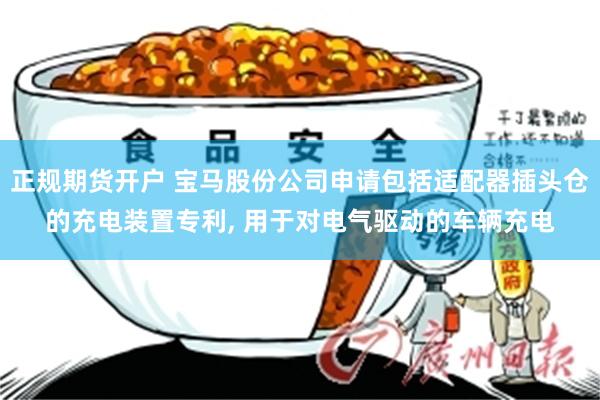 正规期货开户 宝马股份公司申请包括适配器插头仓的充电装置专利, 用于对电气驱动的车辆充电