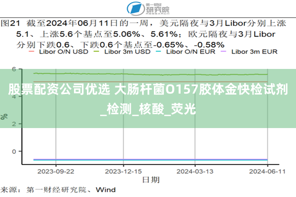 股票配资公司优选 大肠杆菌O157胶体金快检试剂_检测_核酸_荧光