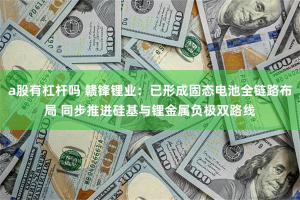 a股有杠杆吗 赣锋锂业：已形成固态电池全链路布局 同步推进硅基与锂金属负极双路线